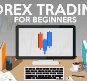 Beginner Forex Course Training