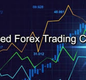 Advance Forex Course Training